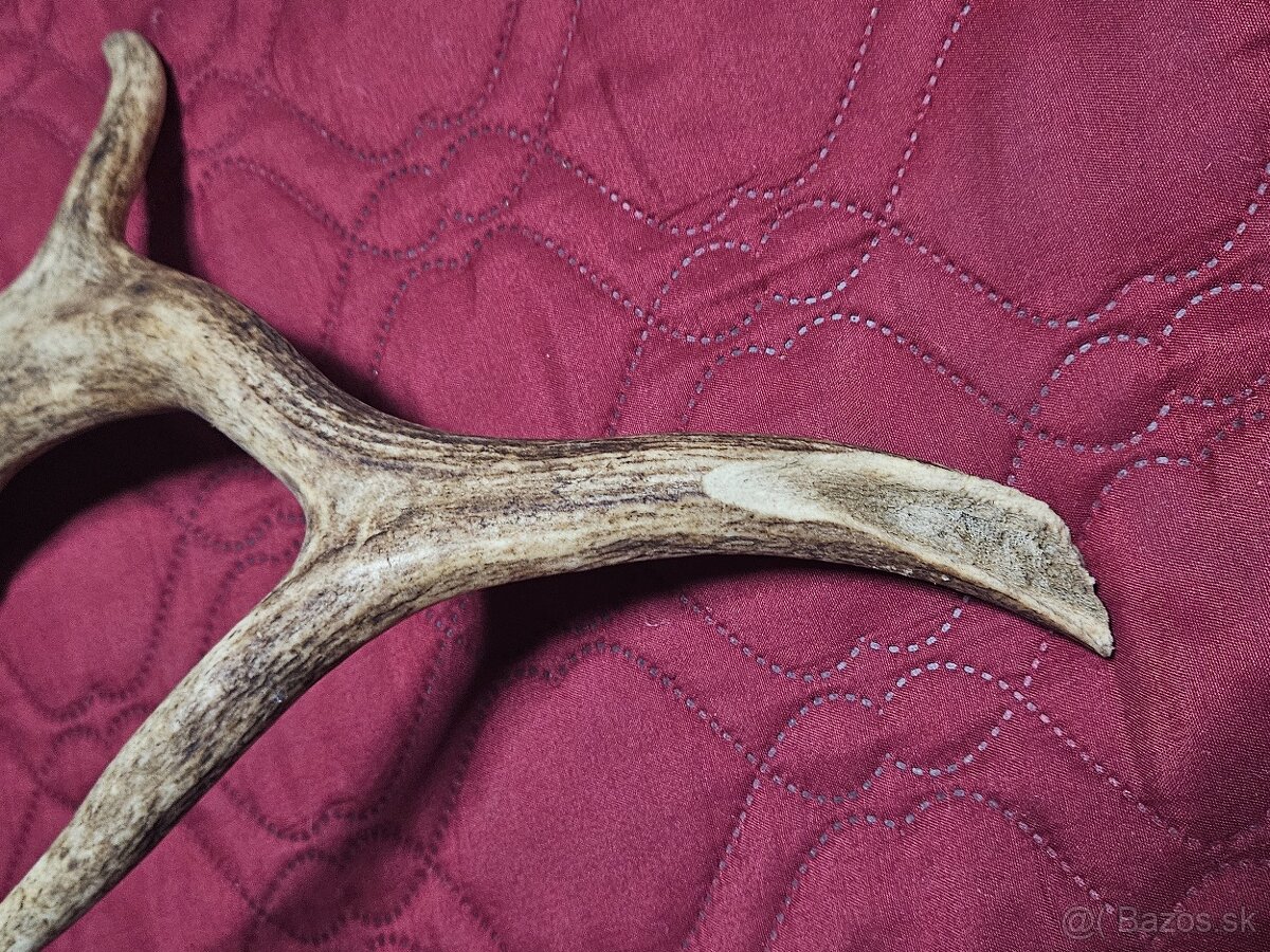 parohy parožie na výrobky rukoväť noža - 9