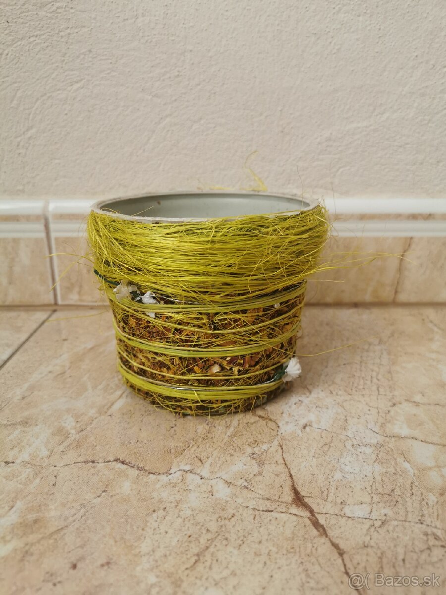 Izbové rastliny - 9