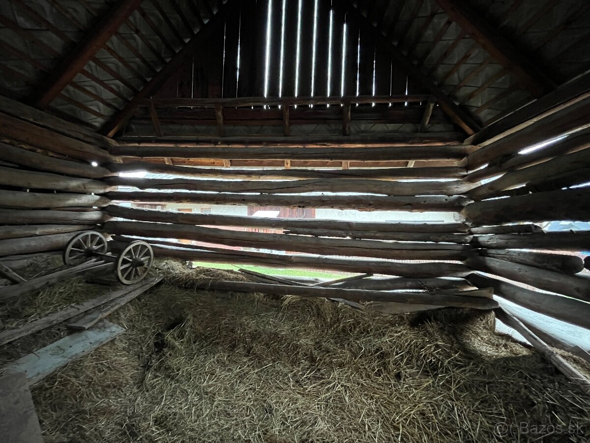 Stare drevo na predaj - 9