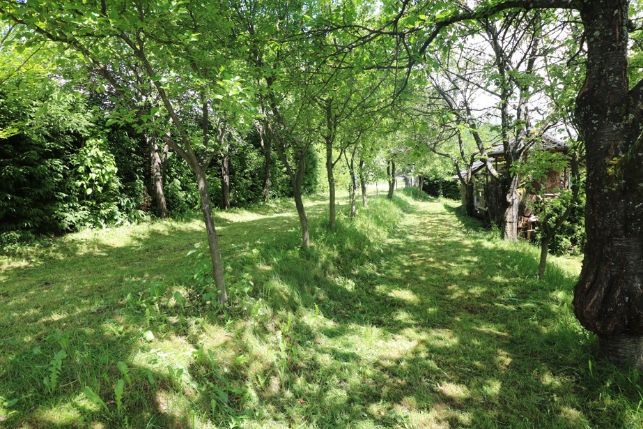 Predaj chaty s veľkým pozemkom 1348 m2 Belá - Zlieň - 9