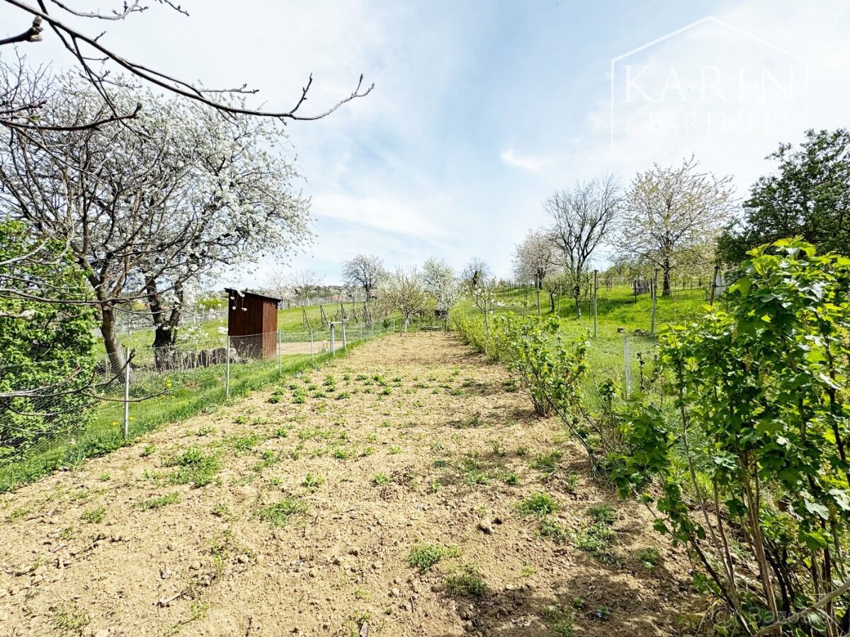 Vinohradnícky domček po reko aj s vinohradom, za Líštinami - 9