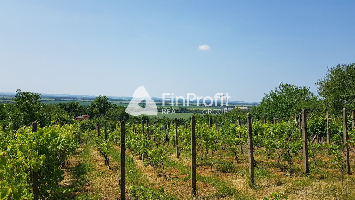 Predám dva vinohradnícke domy s pozemkami medzi vinohradmi p - 9