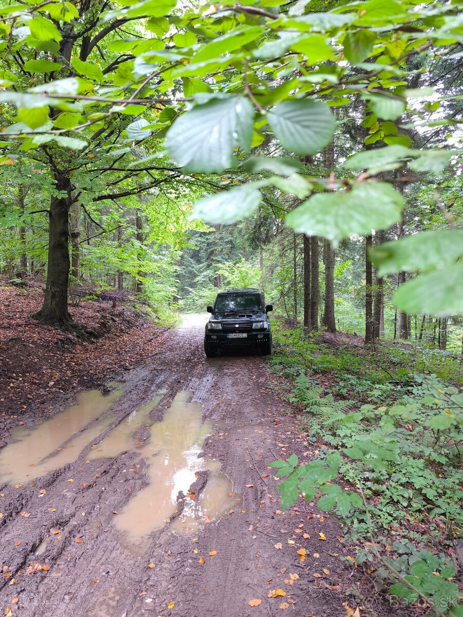 Hyundai Galloper - 9