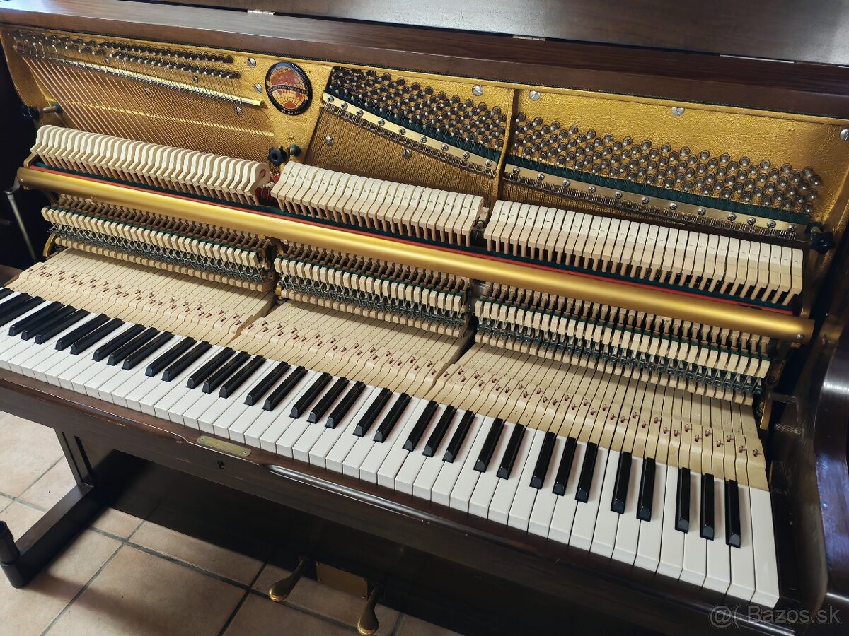 Piano Dietmann od ZNÁMEHO UMELCA - 9