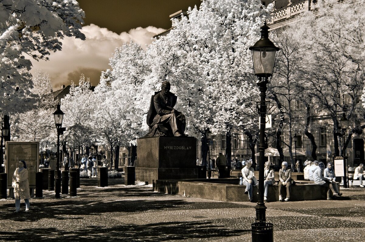 Olympus E-M1 - po IR konverzii 720 nm - 9