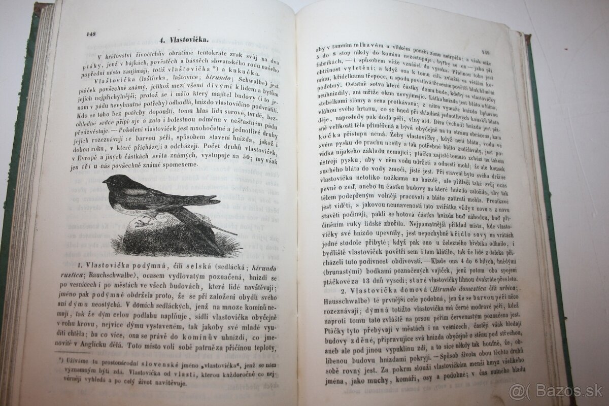 Daniel Richard: ČASNÍK 1857, 1858 - 9