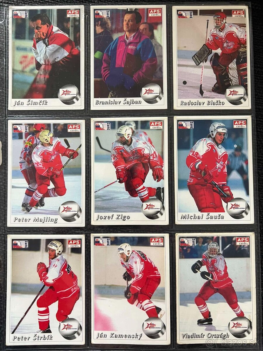APS karty hokej 95/96 - 9