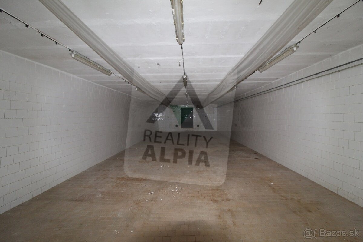 Polyfunkčný objekt na predaj, Dulovce - 9