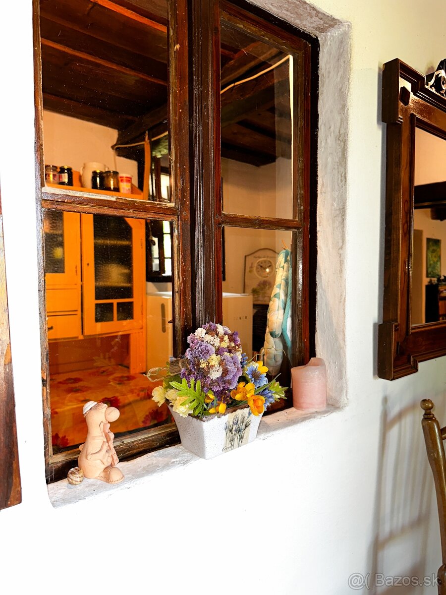 Rozsiahly pozemok s chatou v obci Hrušov - 9