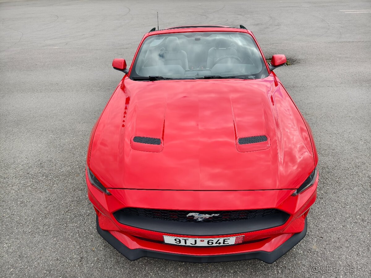 Mustang / Možná výmena – ponúknite, čo máte - 9