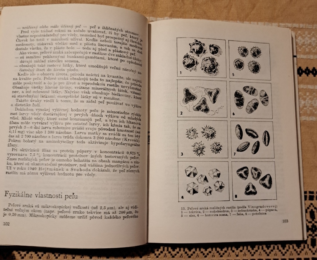 Včelie produkty a zdravie - 9