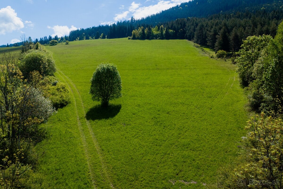 Investičný pozemok s výnimočným výhľadom – Osádka - 9