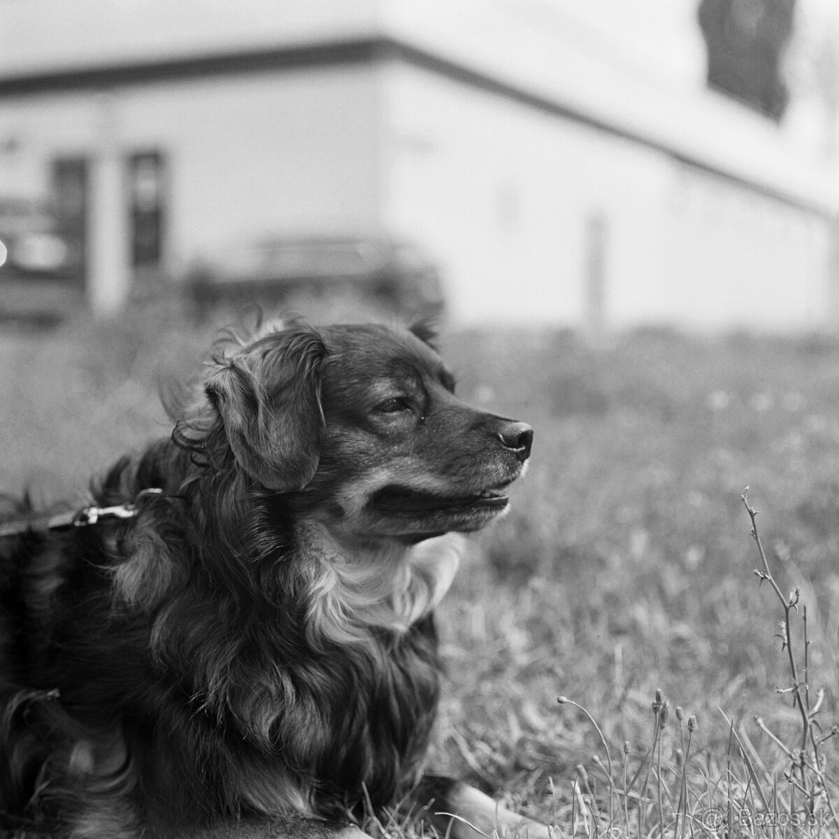 Fotoaparát Pentacon six TL - 9