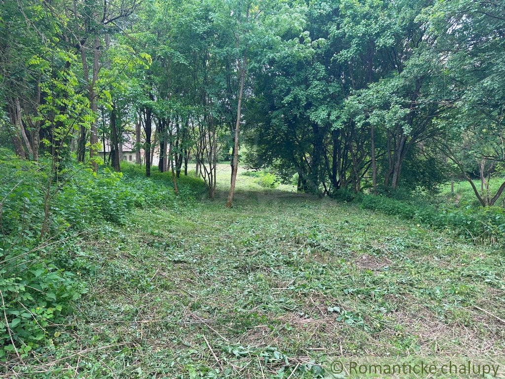 Fotografia 9