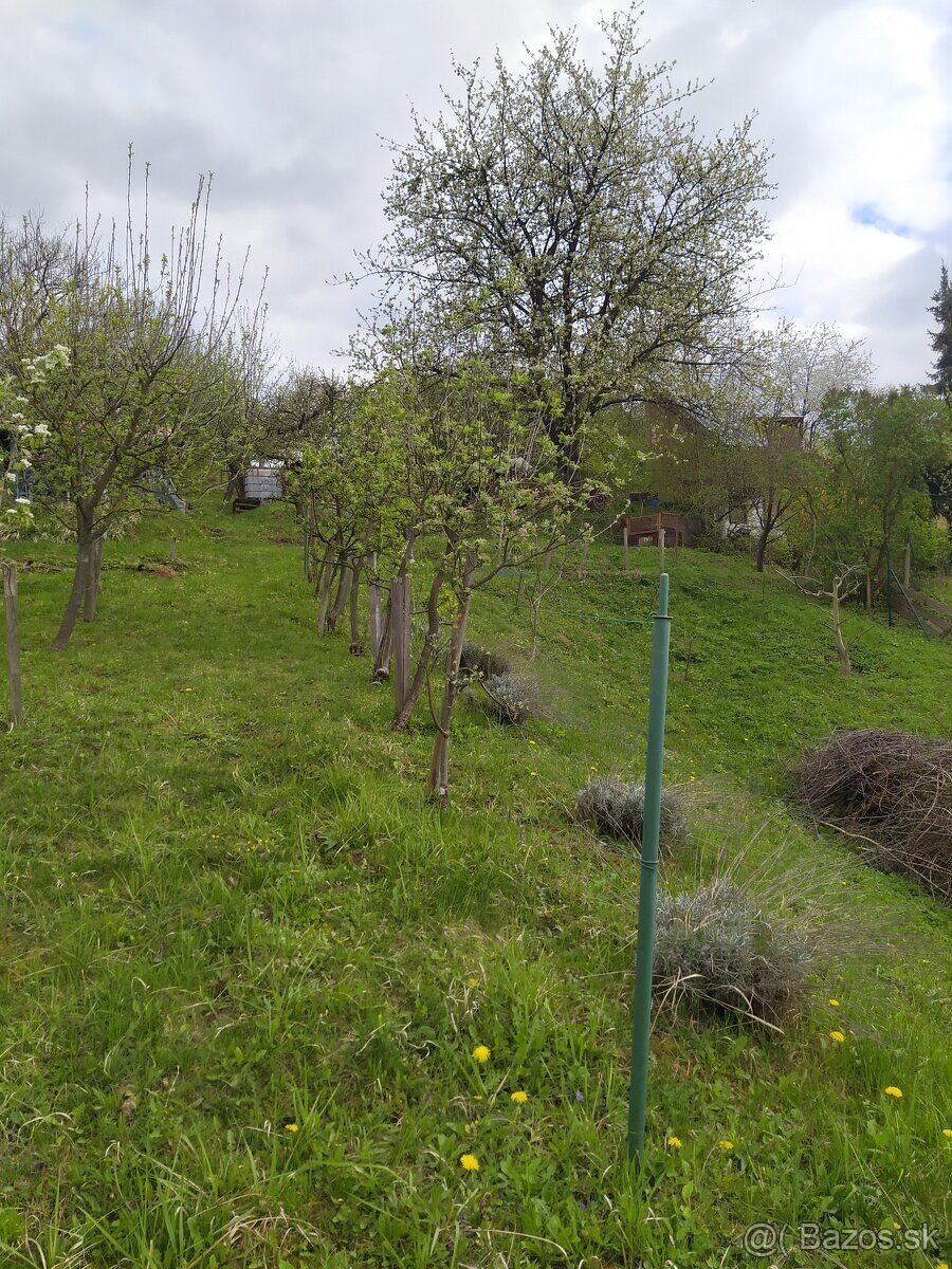 Vyrazna zlava - Zahrada CHRAST sídlisko Juh Trenčín - 9