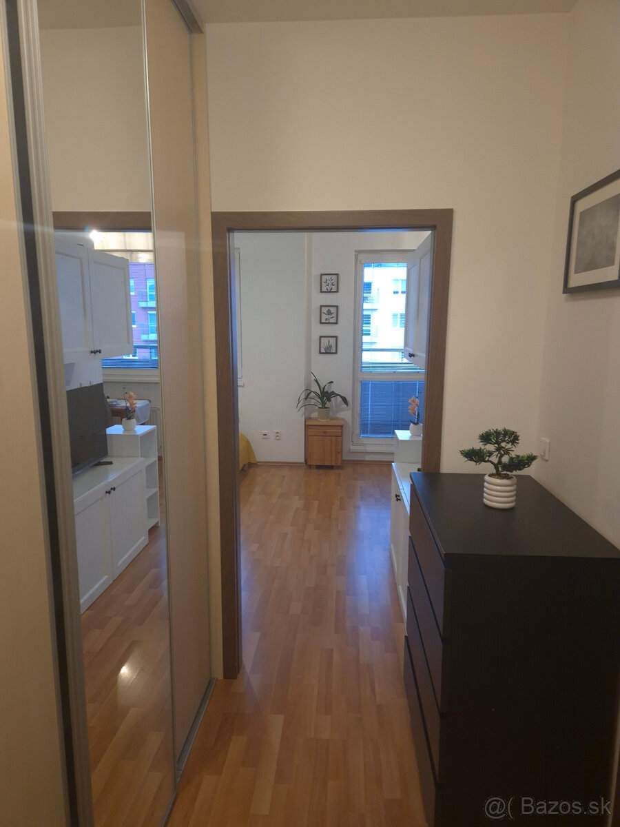 Útulný 1-izbový byt s krásnym výhľadom na Kamzík - 9