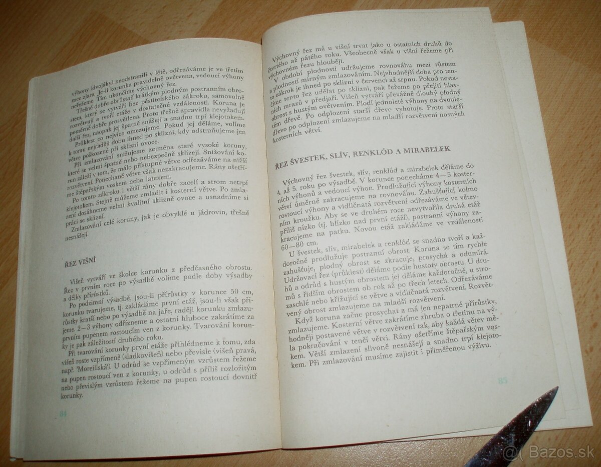 Řez ovoných dřevin - 9
