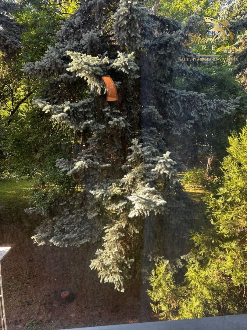 Pekne zariadený 3-izbový byt v centre Ružinova - 9