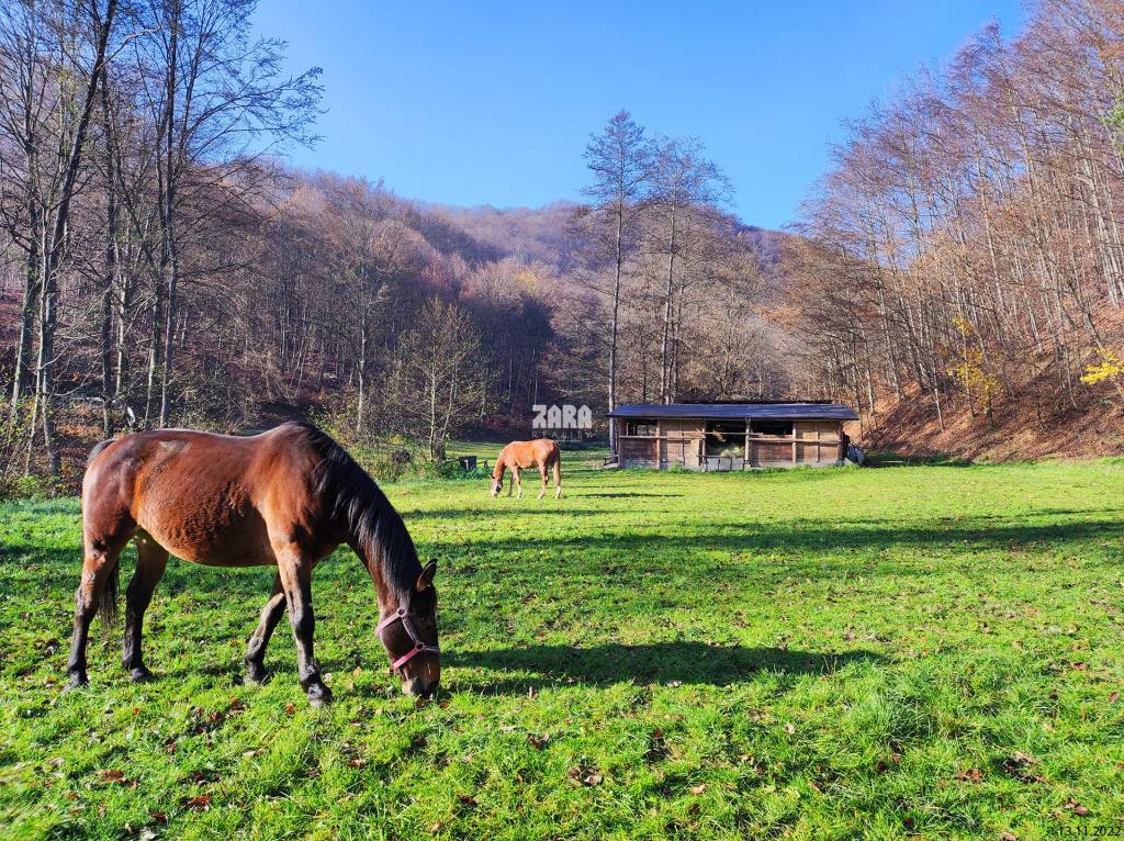 ŠUGOV-ŠUGOVSKÁ DOLINA, INVESTIČNÝ veľkorysý pozemok 3716 m2. - 9