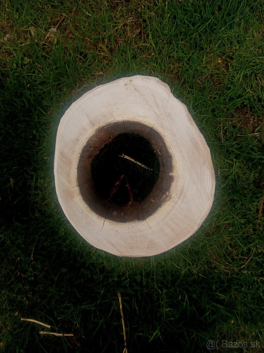 Kvetináče MASÍV smrek - 9