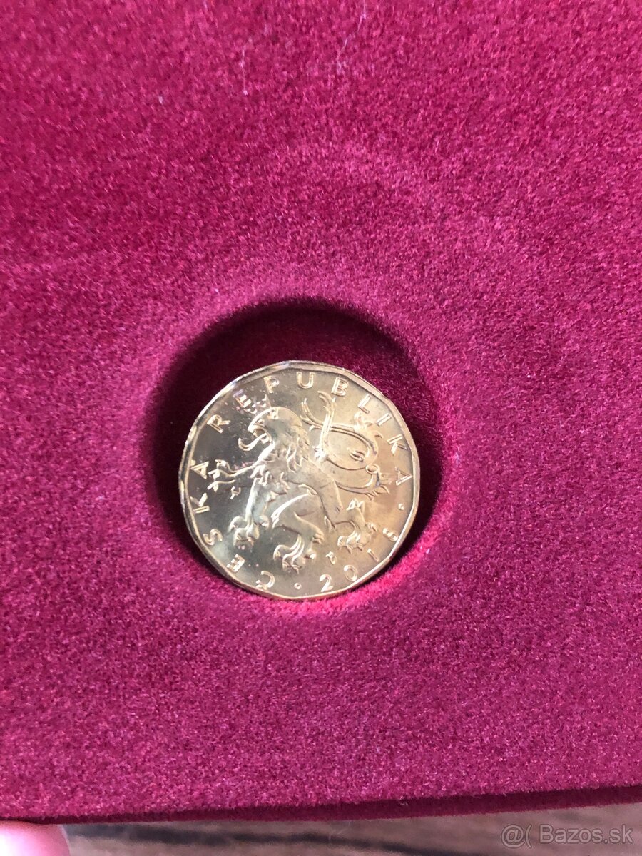 Mince CZ (2018-19) - 9