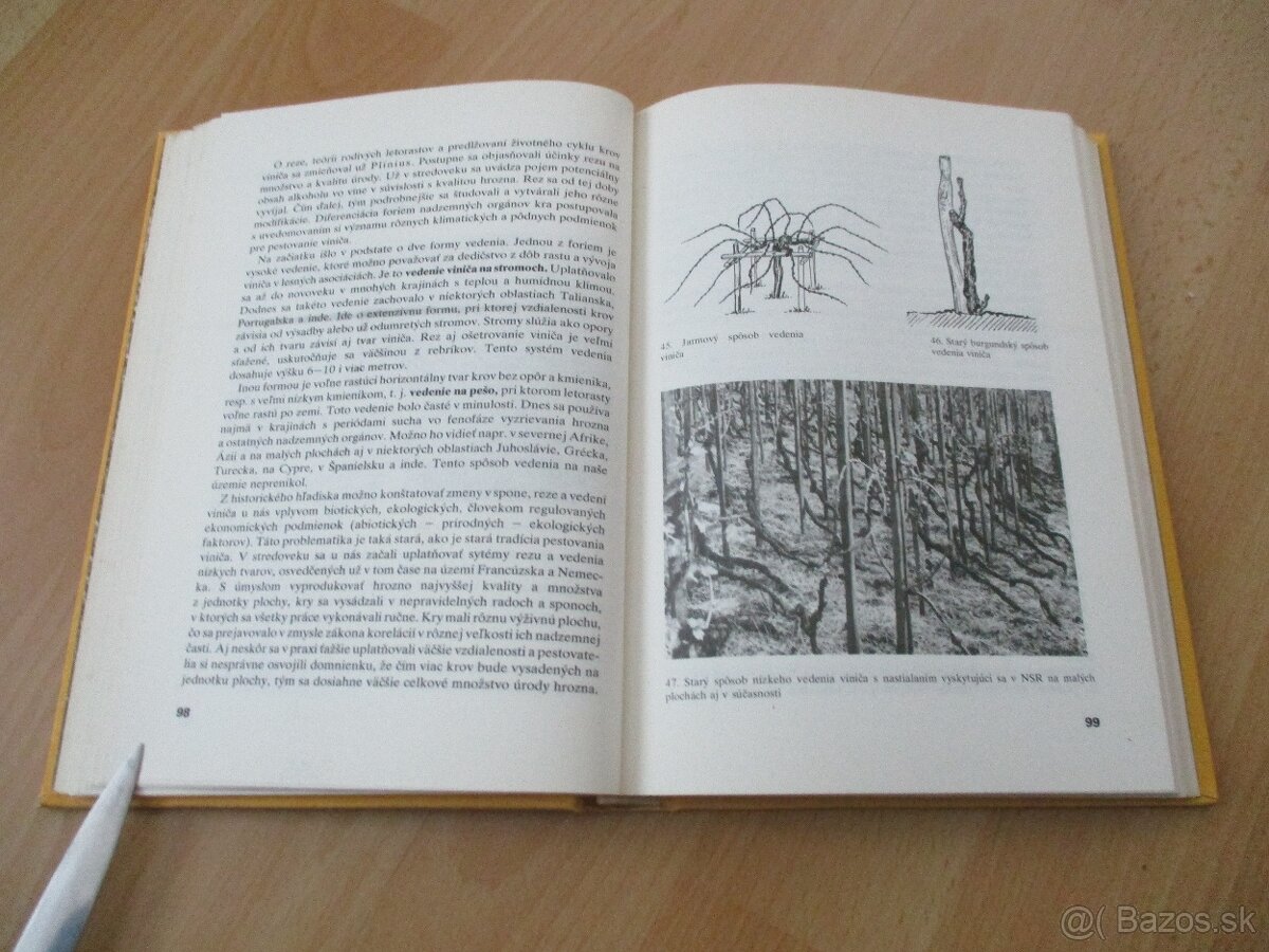 Rez a vedenie viniča - 9