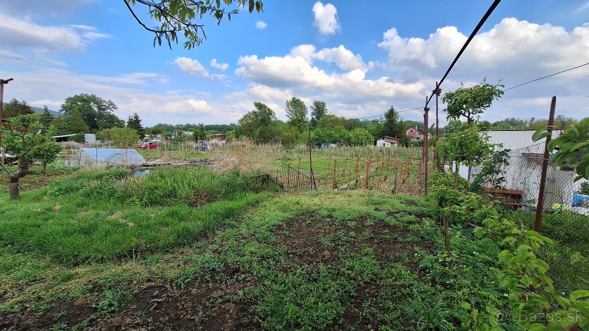 ‼️AKCIA‼️Predám zahradu s chatou v Štúrove na sutoku Dunaja - 9