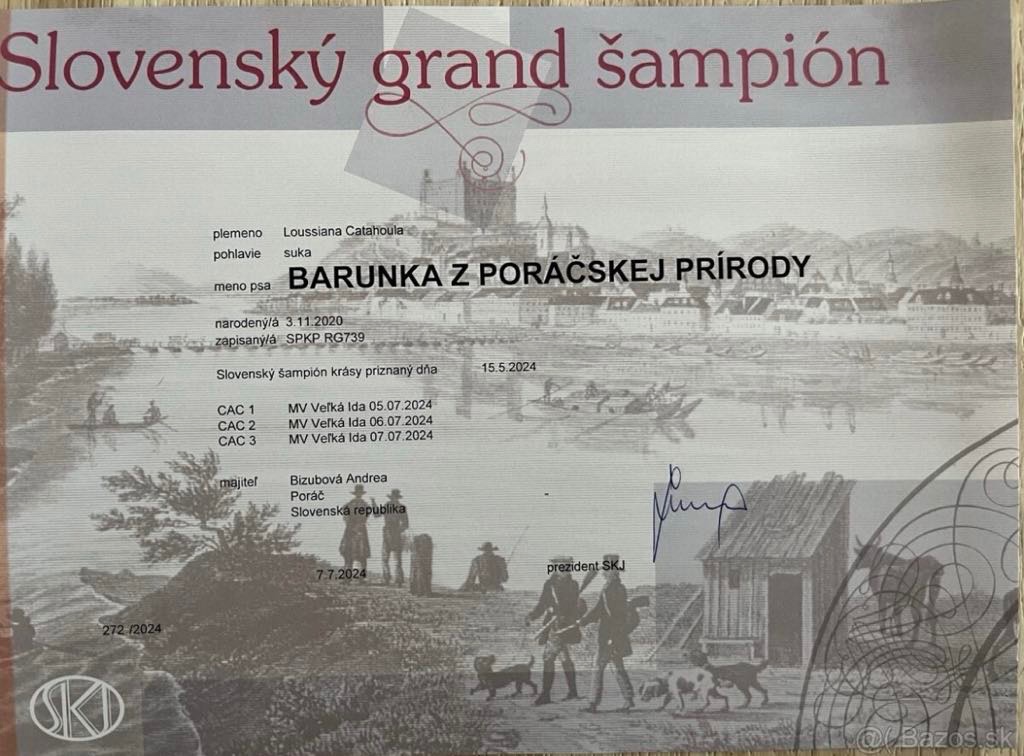 Louisianský leopardi pes - šteniatka s PP - 9