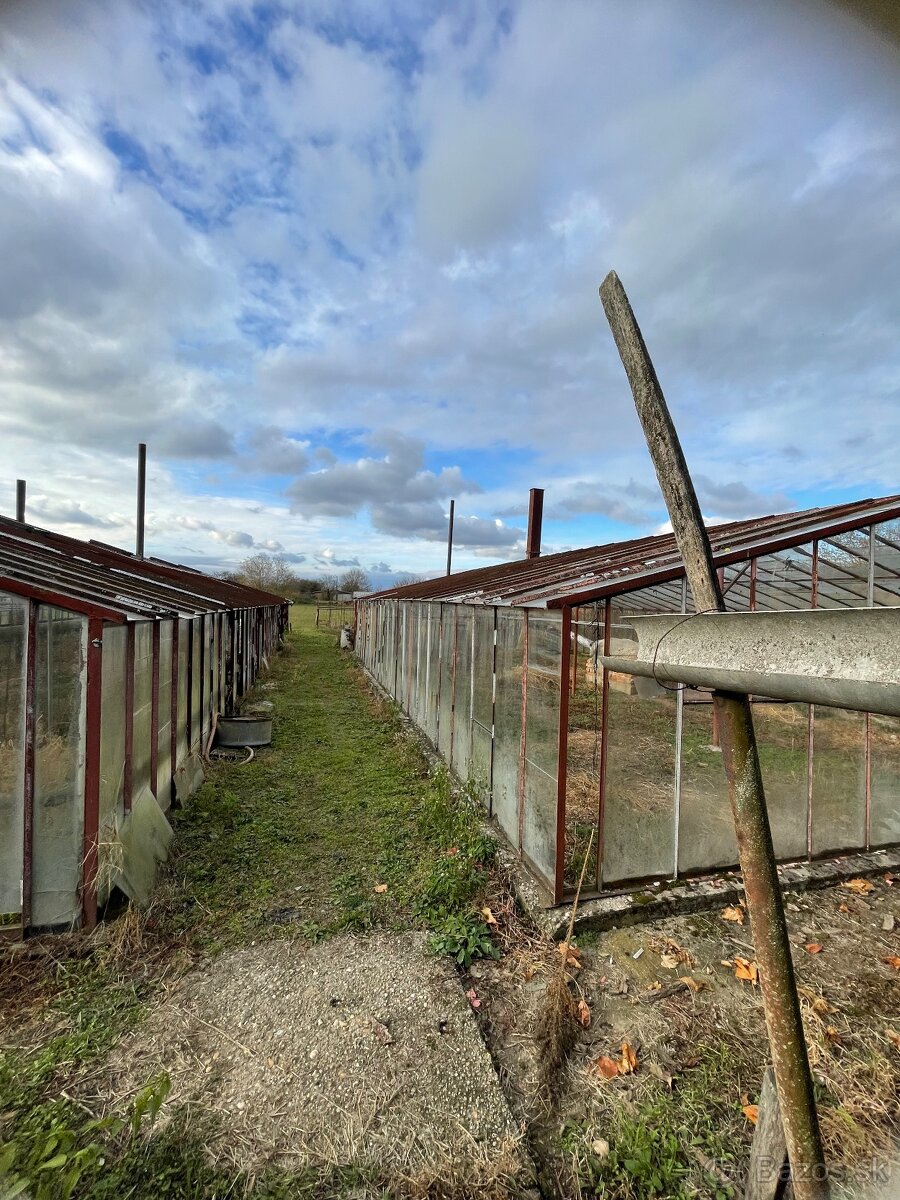 Na predaj RD v Sikeničke - 9