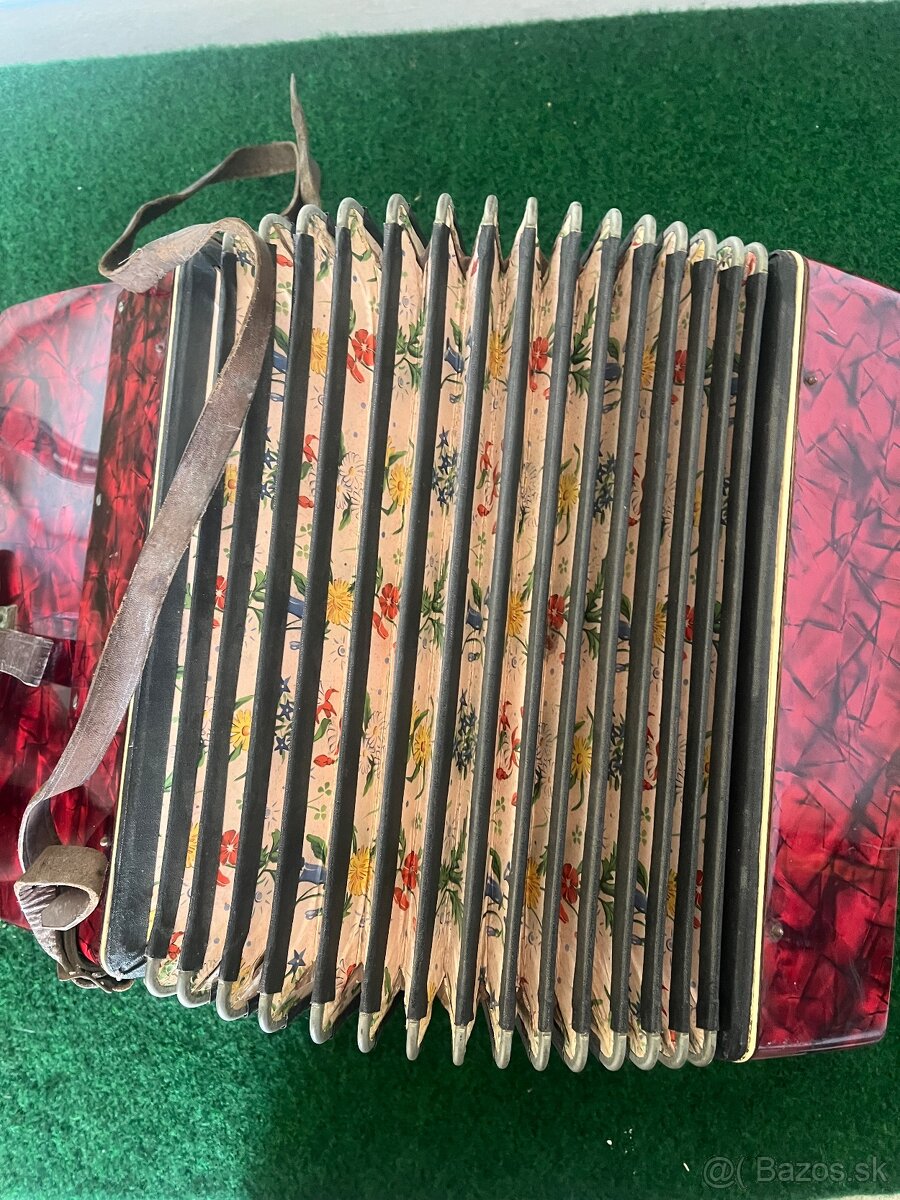 Starožitná harmonika 1 - 9