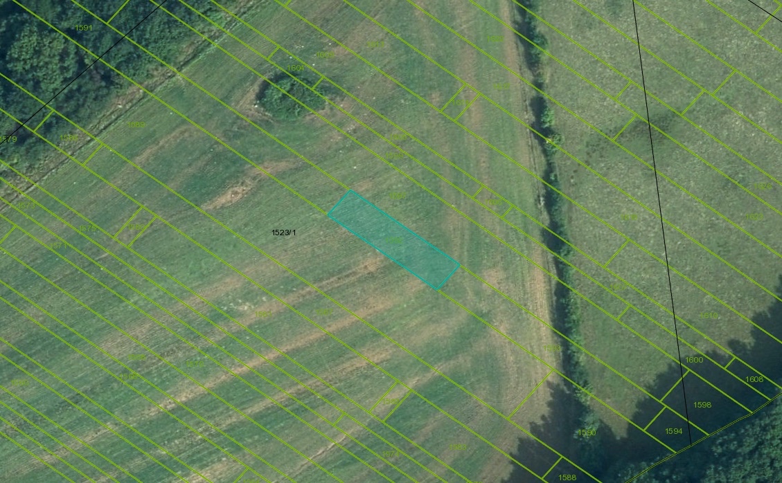 Veľký Blh - 503 m2 PÔDA a LESY – PREDAJ - 9