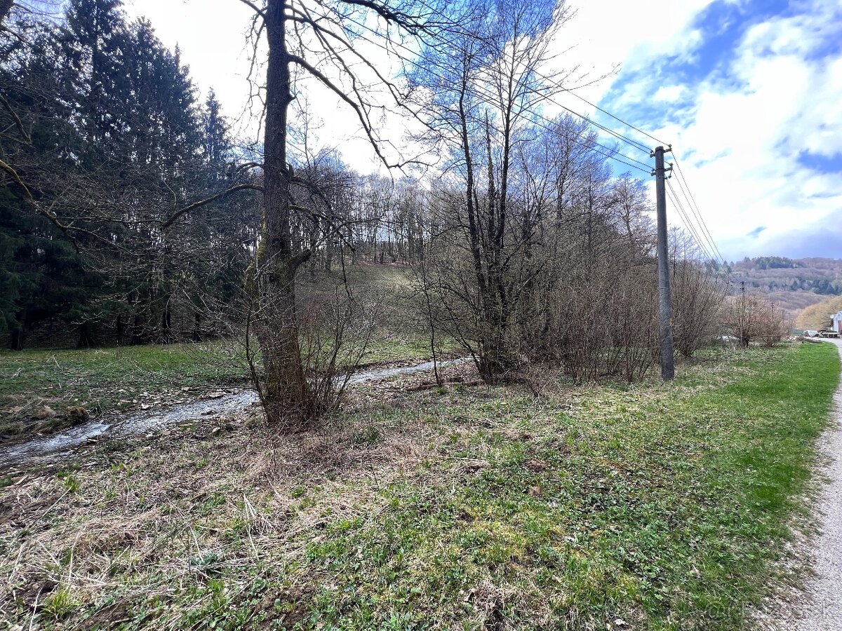 Na predaj veľký lesný pozemok Drietoma - Liešna, 6549m2 - 9