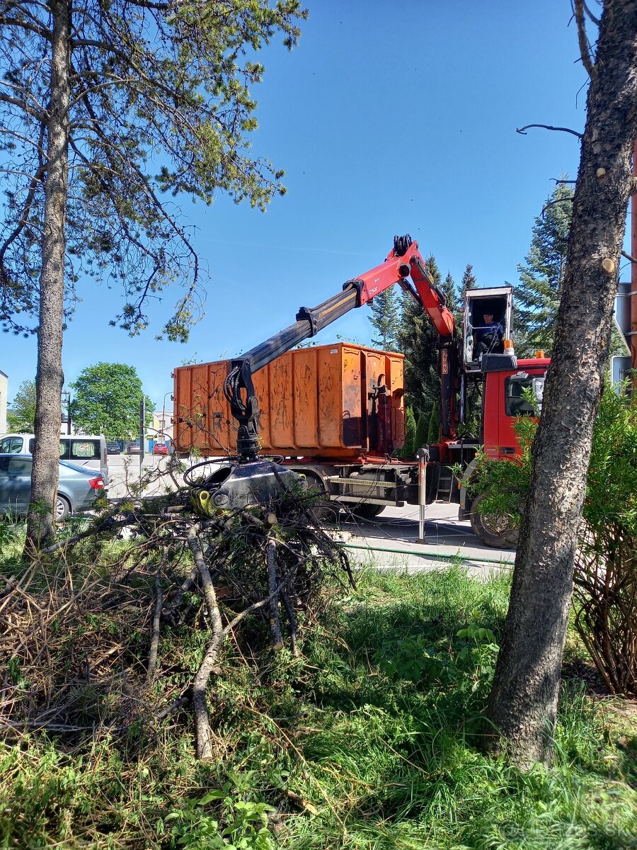 Výrub a opilovanie stromov LACNO A BEZPEČNE - 9