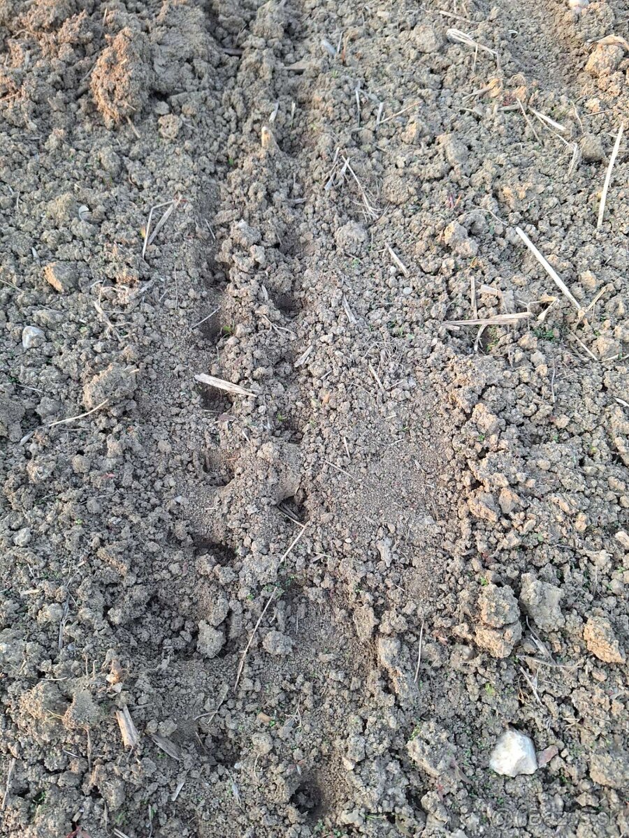 Pritlačné koliečka na sejací stroj na kukuricu - 9