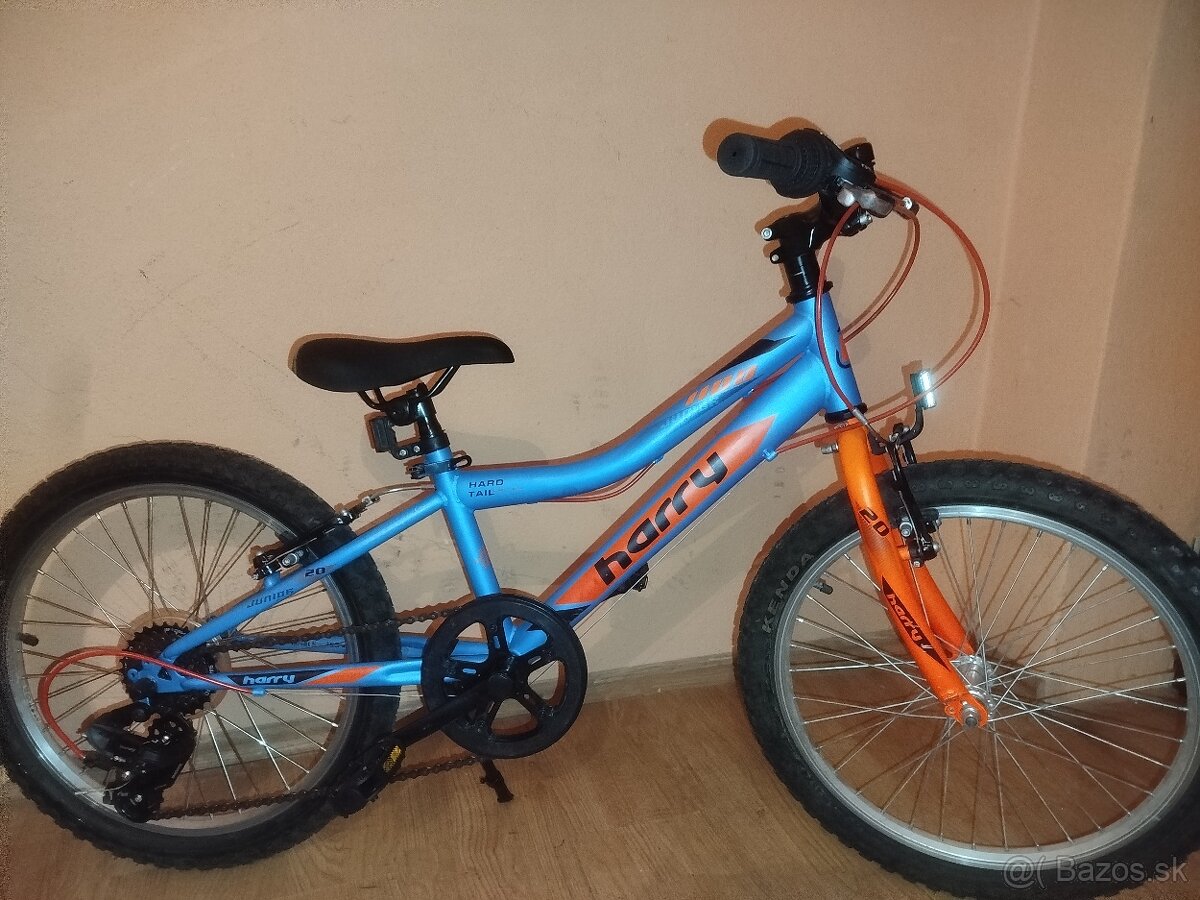 Detský bicykel Harry 20 - 9