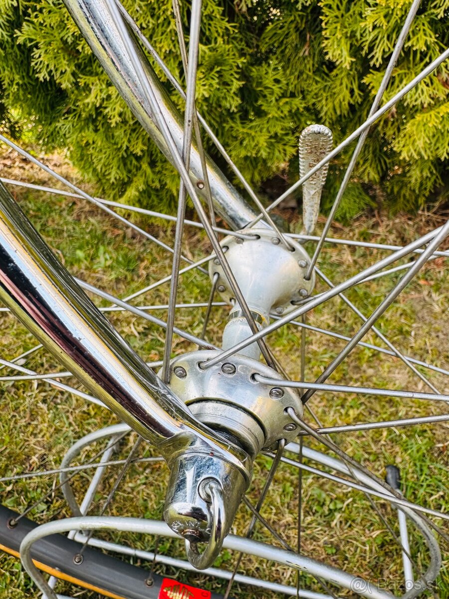 Pinarello “Veggerby” - 9