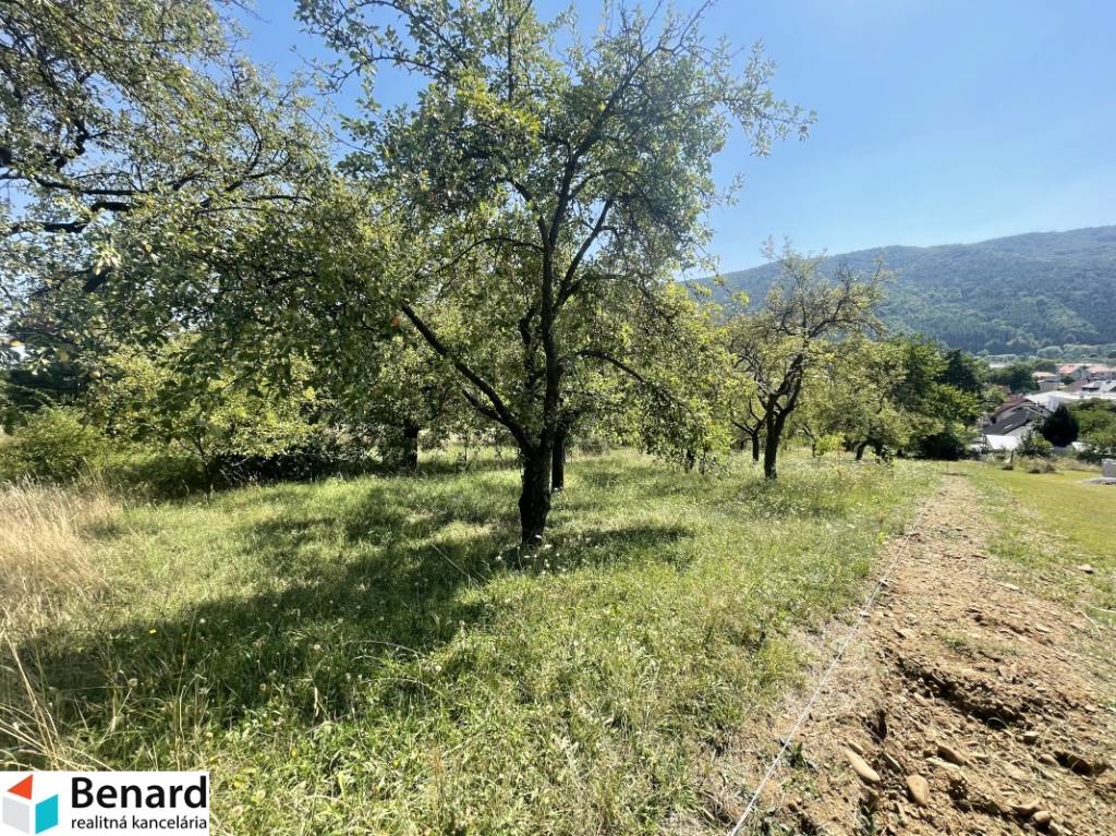 PEČOVSKÁ NOVÁ VES-OKR. SABINOV, POZEMOK, 563 m2,UL.NA PEČOVE - 9