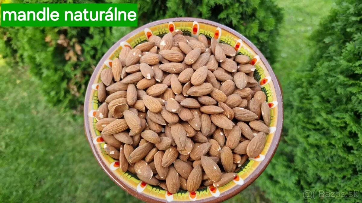 Vlašské orechy 2025 - 9