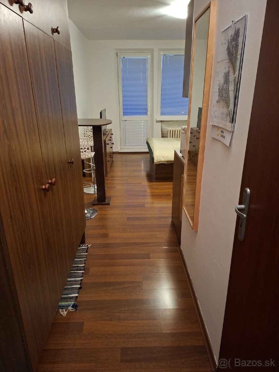 Dám do prenájmu garsonku v Trnave - 9