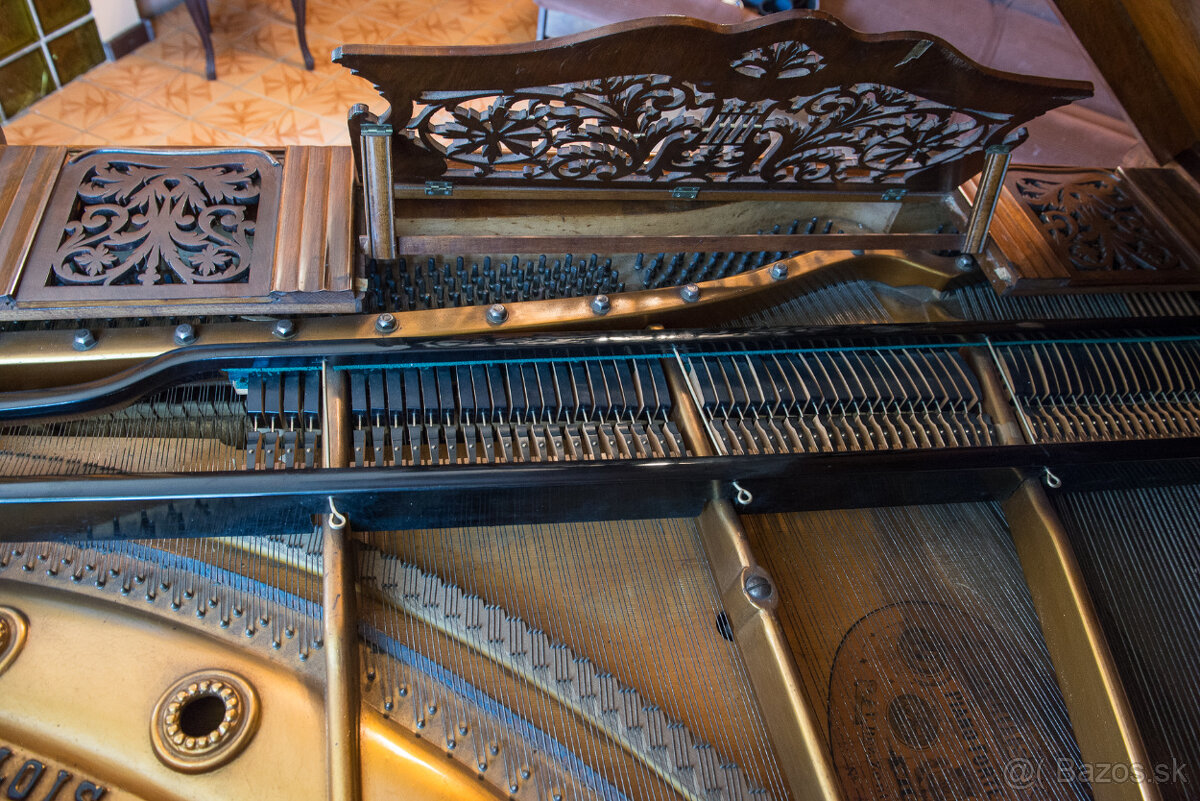 ALOIS KERN PIANO FORTE - 9