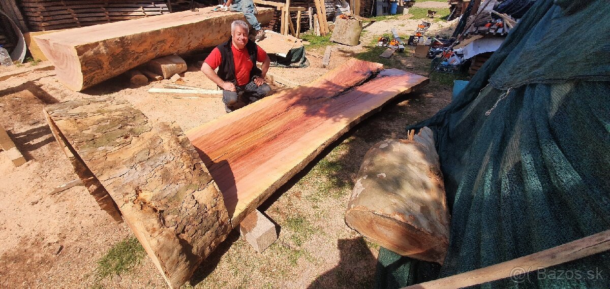 Platanove drevo. - 9