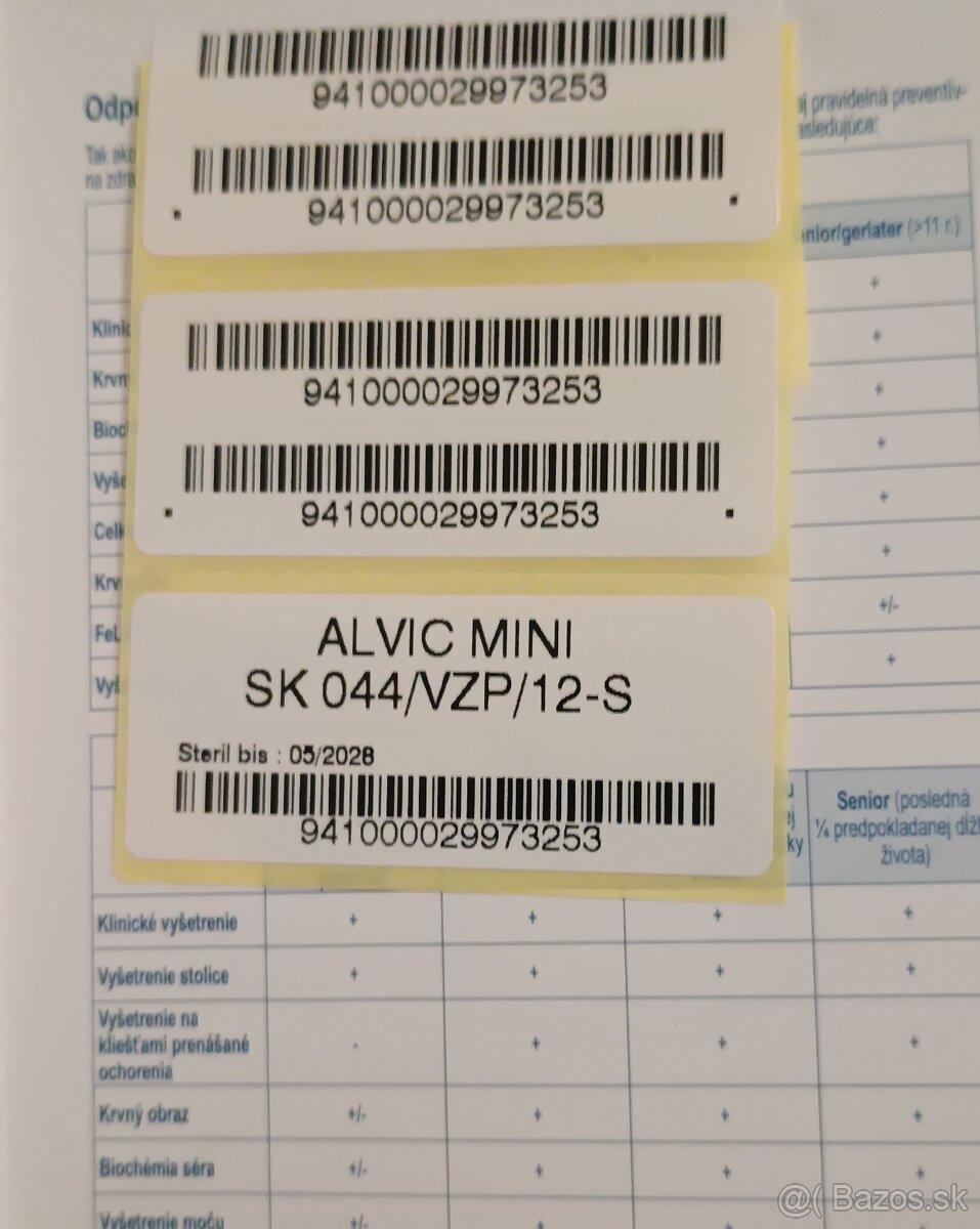 Americký pitbullterier - 9