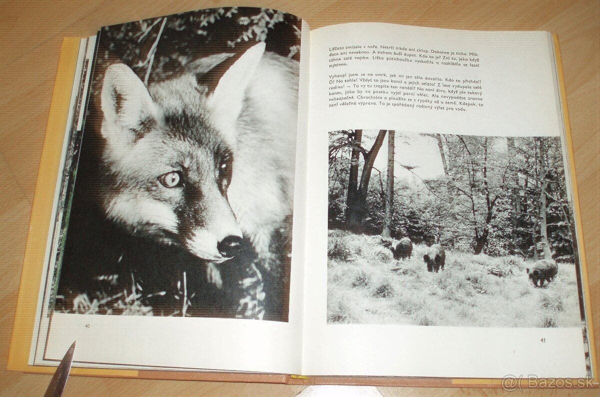 Povídání s liškou - 9