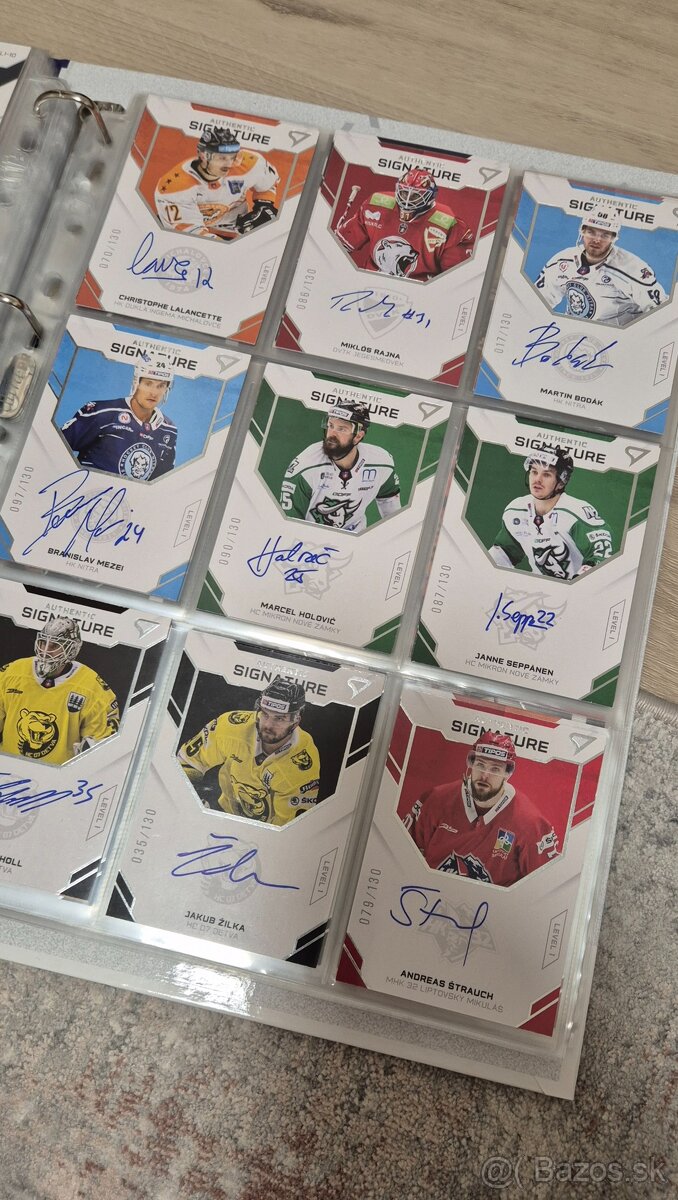 Hokejové kartičky - 9