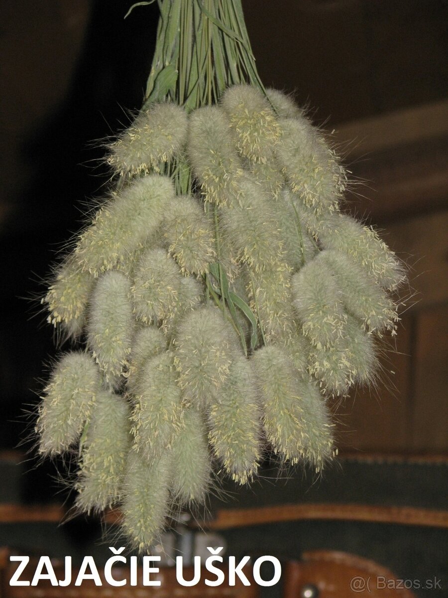 SUŠENÉ KVETY NA ĎALŠIU TVORBU - 9