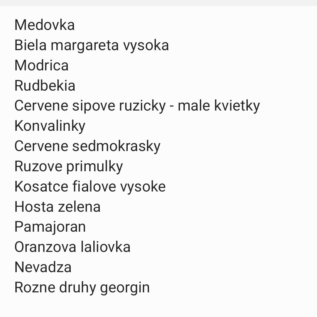 Trvalky - 9
