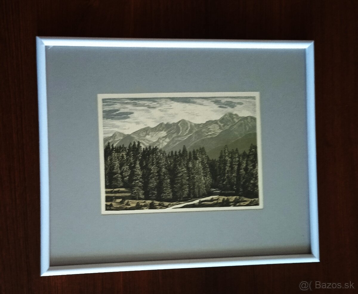 Karel Vik, drevoryty 6 - 9