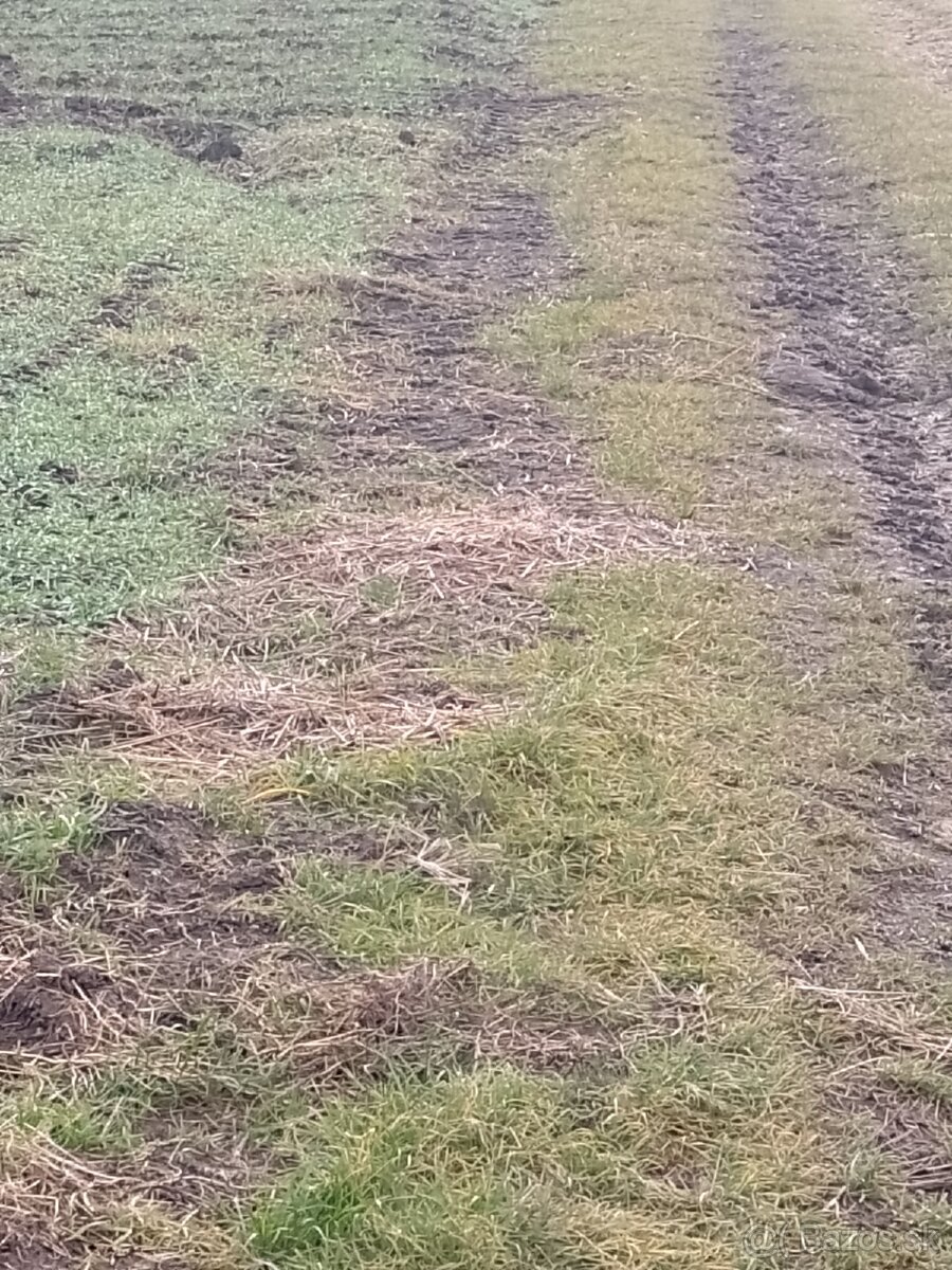 PREDAJ POZEMKU V KAT.UZEMÍ ĎURČINÁ - 9