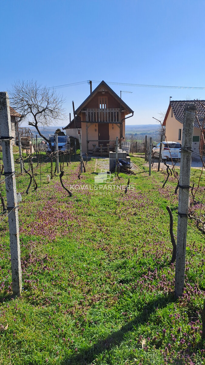 Vinica 608 m² s viničnou chatkou v obci Jelenec, okres Nitra - 9