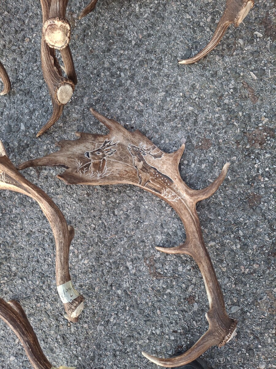 Parohy,zhody,trofeje - 9